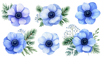 Watercolor floral arrangement of blue anemone flowers and evergreen