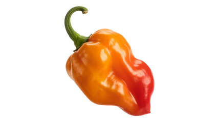 Vibrant scotch bonnet pepper shines with fiery orange and red hues, ready to spice up culinary creations
