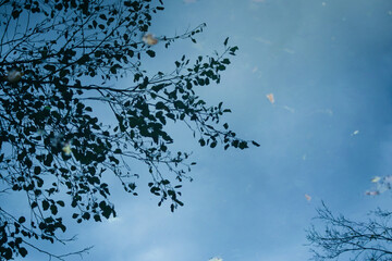 Reflection of the water surface on an autumn day background