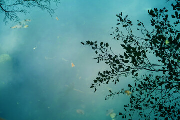 Reflection of the water surface on an autumn day background