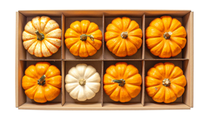 Top-down view of eight mini pumpkins of varying colors inside a cardboard box