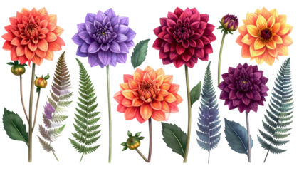 Vibrant digital illustration of various colored dahlias and foliage on black