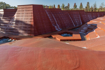 Fototapety na wymiar - Fototapeta24.pl