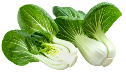 Fresh, vibrant bok choy heads with green leafy tops and white stalky bases