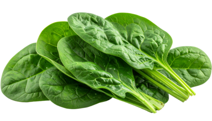 Lush green spinach leaves stacked together, showing prominent veining