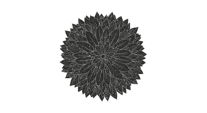 Distressed floral pattern with sharp petals creating a unique artistic texture reminiscent of nature