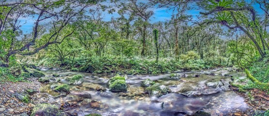 Panoramic rainforest river in Taiwan with mossy rocks