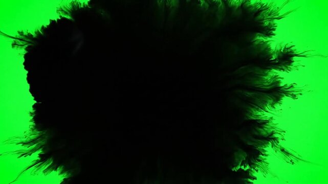 Dynamic black ink splattering and spreading across a vibrant green screen background creating an abstract and organic liquid reveal or transition effect for creative video projects and motion graphic.