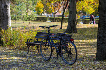Fototapeta premium A parked bicycle beside a wooden bench in a leafy autumn park, symbolizing relaxation and outdoor leisure.