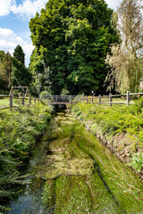 A small clear stream flows under a wooden footbridge surrounded by dense summer greenery in the peaceful countryside near Spontin Castle in Belgium, showcasing the region’s natural charm and quiet bea