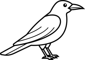 Crow Illustration Art. Black Crow Drawing. Crow Bird Artwork. Standing Crow Outline. Flying Crow Graphic. Crow Silhouette Design. Realistic Crow Artwork. Crow Animal Illustration. Wild Crow Line Art