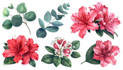 Watercolor painting featuring azaleas and eucalyptus foliage