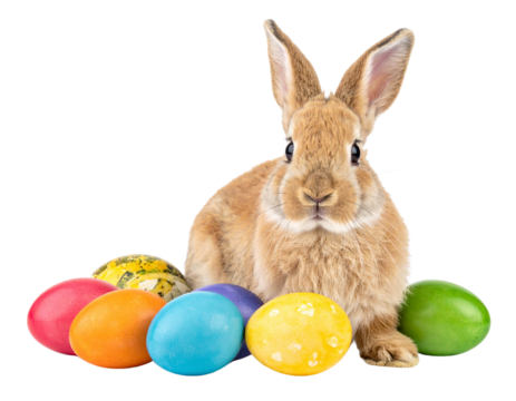 easter bunny and easter eggs isolated on white transparent background 