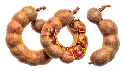 Brown, curved, and segmented tropical fruit pods, one opened with exposed seeds