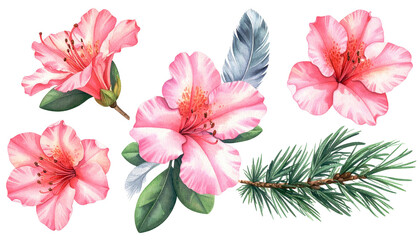 Watercolor floral arrangement featuring pink blooms, feathers, and greenery