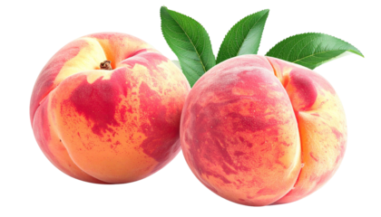Two ripe peaches with blush skin and green leaves on a transparent background