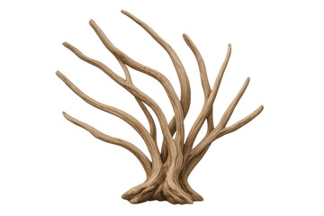 Obraz premium Dead tree with gnarled leafless branches and transparent background