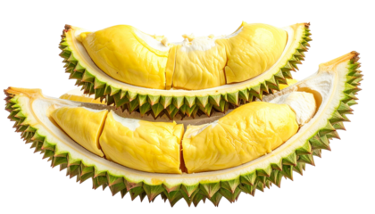 Opened durian fruit sections showcasing creamy yellow flesh and spiky rind