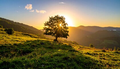 Sun bursts behind a lone tree on a grassy hillside with rolling hills in the background, bathed in golden light