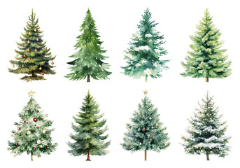 Obraz premium PNG Watercolor Christmas tree illustrations, element set on transparent background
