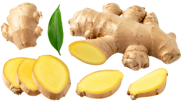 Fresh ginger root and slices with a leaf against a transparent backdrop