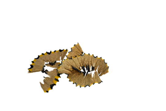 Pencil shavings showing wood and graphite waste on transparent background