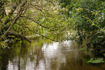 Wanderweg rund um den See von Appelbeck im Herbst