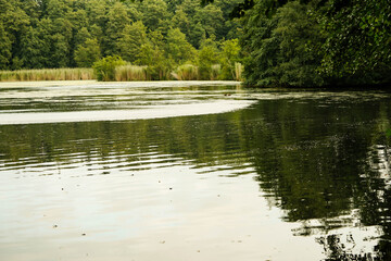 Wanderweg rund um den See von Appelbeck im Herbst