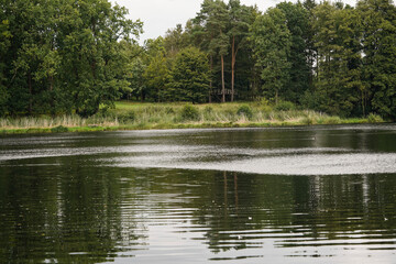 Wanderweg rund um den See von Appelbeck im Herbst