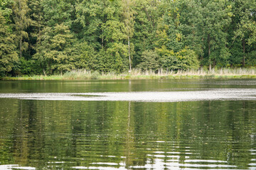 Wanderweg rund um den See von Appelbeck im Herbst