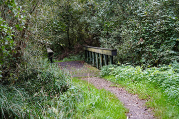 Wanderweg rund um den See von Appelbeck im Herbst