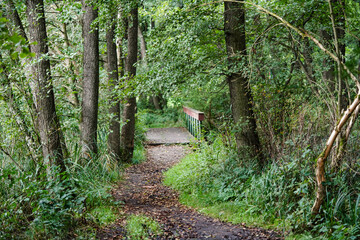 Wanderweg rund um den See von Appelbeck im Herbst