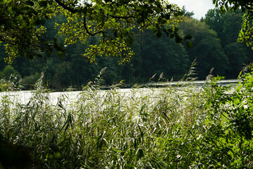 Wanderweg rund um den See von Appelbeck im Herbst