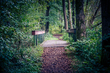 Wanderweg rund um den See von Appelbeck im Herbst