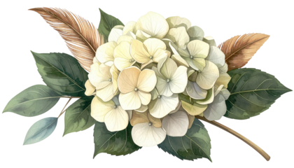 Delicate watercolor-style image of hydrangea blooms, leaves, and feathers