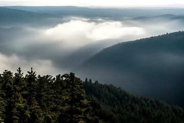 Obraz premium Misty mountain landscape with sunlit clouds and dark evergreen forest in the foreground creating a serene and atmospheric natural scene