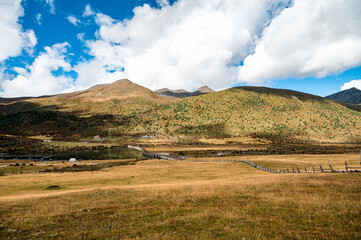 Fototapeta premium The scenery of hills and grasslands on the Qinghai Tibet Plateau under blue sky and white clouds in autumn