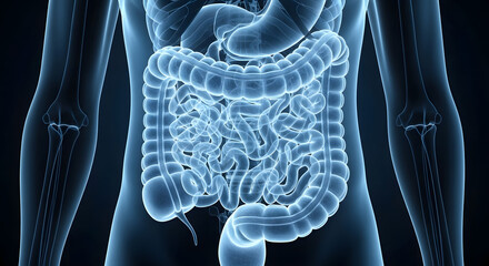 Medical X ray of Human Digestive System Anatomy Healthcare Concepts