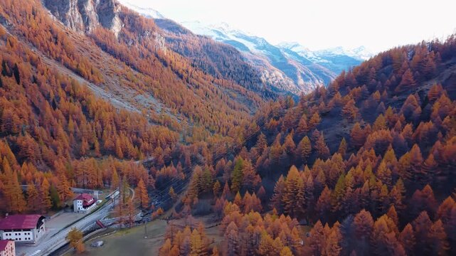 Aerial view of golden trees blanketing mountains and buildings nestled in the valley, contrasting with the snow-capped peaks, Formazza, Piedmont, Italy.