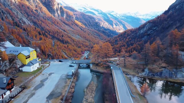 Aerial view of a winding road cutting through a valley filled with autumn trees creating contrast, Formazza, Piedmont, Italy.