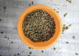 Bowl with cat food