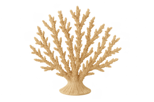 Coral reef beige branching structure transparent background