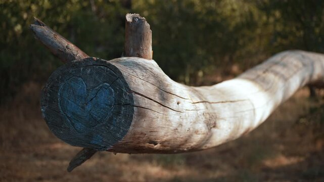 Dry tree log with carved heart on wood surface, symbolizing love