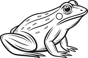 Frog Illustration Set. Cute Frog Artwork Collection. Frog Outline Drawing Bundle. Cartoon Frog Design Set. Frog Character Line Art. Frog Pose Illustration Pack. Minimal  Wild Frog Graphic Elements
