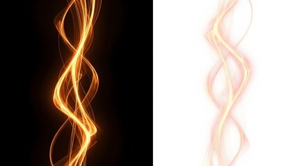 Abstract golden light trails on black and white backgrounds elegant flowing vector design element is