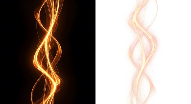 Abstract golden light trails on black and white backgrounds elegant flowing vector design element is