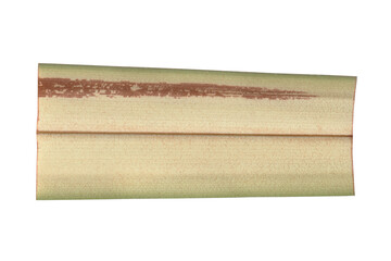 Macro texture of a natural dried palm leaf. Organic botanical background element isolated on a transparent PNG file for design projects.