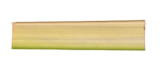Realistic plant stem or leaf with fibrous striped texture. A natural green and yellow botanical design element isolated on a transparent background.