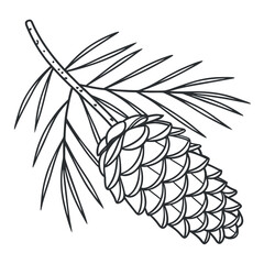 Hand drawn pine cone for winter designs