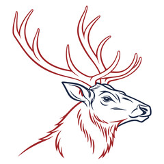 Detailed stag head with antlers